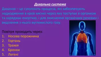 Попередній перегляд - Органи - Сторінка 3