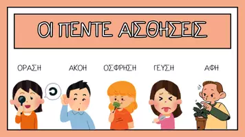 Προεπισκόπηση - Φύλλα εργασίας - ΟΙ ΠΕΝΤΕ ΑΙΣΘΗΣΕΙΣ - Εξώφυλλο
