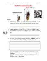 Vorschau - Unterrichtsreihen - Reihe - Ähnlichkeit - Zentrische Streckung - Strahlensätze - Deckblatt