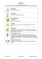 Vorschau - Arbeitsblätter - Europa in Rätseln - Seite 2