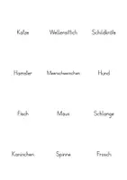 Vorschau - Stationenlernen - Haustiere - Spiele - Freiarbeit - Lerntheke - Seite 2