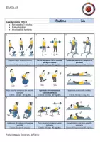 Vista previa - Hojas de trabajo - FUERZA Rutinas gimnasio 3º, 4º ESO, Bach - página 2