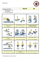 Vista previa - Hojas de trabajo - FUERZA Rutinas gimnasio 3º, 4º ESO, Bach - página 3