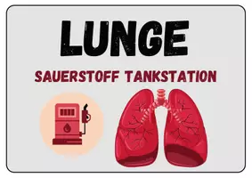 Vorschau - Spiele - Worttafeln Bewegungsspiel Blutkreislauf - Biologie - Seite 2