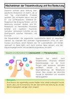 Vorschau - Arbeitsblätter - Hormone Materialpaket - Seite 3