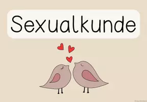 Vorschau - Arbeitsblätter - SEXUALKUNDE - MATERIALPAKET gesamte Unterrichtseinheit - Seite 3