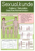 Vorschau - Arbeitsblätter - SEXUALKUNDE - Äußere / Sekundäre Geschlechtsmerkmale - Deckblatt