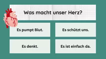 Vorschau - Arbeitsblätter - Einstieg Herzkreislauf inkl Lösungen - Herz & Blutkreislauf - Biologie - Seite 3