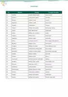 anteprima - Esercizi - Pacchetto di Materiale sugli Aggettivi in Inglese - Pagina 3