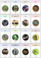 Voorbeeld - Kaarten over Dieren en hun Soorten Voeding (deel 2) - Pagina 2