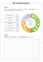 Vorschau - Arbeitsblätter - Arbeitsblatt Ernährungskreis (aktuell 2024) - Seite 2