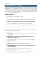 Vorschau - Unterrichtsreihen - Unterrichtsreihe: Steinzeit - Geschichte - Seite 3