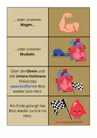 Vorschau - Spiele - Legespiel Herzkreislauf - Biologie - Seite 3