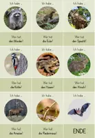 Vorschau - Spiele - Tiere des Waldes - Ich habe ...! Wer hat? - Seite 3