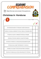 Vorschau - Arbeitsblätter - Reading Comprehension - Christmas in Honduras + Solutions - Seite 2