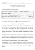 Vorschau - Arbeitsblätter - Die Wortarten Nomen, Verben und Adjektive wiederholen - Seite 1
