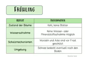 Vorschau - Arbeitsblätter - BÄUME: durch die Jahreszeiten - Seite 1