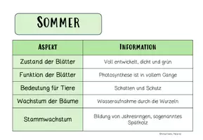 Vorschau - Arbeitsblätter - BÄUME: durch die Jahreszeiten - Seite 2