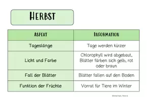 Vorschau - Arbeitsblätter - BÄUME: durch die Jahreszeiten - Seite 3