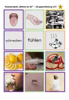 Vorschau - Stationenlernen - Wissenskartei Sinne Sinnesorgane Gruppenarbeit Sachunterricht Klasse 3 Klasse 4 - Seite 3