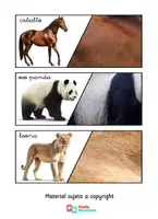 Vista previa - Tarjetas / Manipulativos - Animales y sus Pieles | Tarjetas Montessori de Animales - página 2