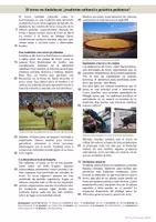 Vorschau - Arbeitsblätter - Stierkampf in Andalusien - ein kritischer Blick: la tauromaquia / el toreo / las corridas de toro - Seite 1
