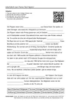 Vorschau - Arbeitsblätter - Arbeitsblätter zum Thema "Die Flippers" (Lückentext, Hörverstehen) + Lösung & MP3 - Deckblatt
