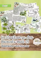 Vorschau - Stundenentwürfe - Heimische Heilpflanzen: Schwarzer Holunder und Waldmeister - Deckblatt