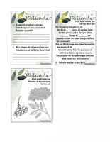 Vorschau - Stundenentwürfe - Heimische Heilpflanzen: Schwarzer Holunder und Waldmeister - Seite 3