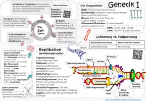 Vorschau - Unterrichtsreihen - GENETIK 1: Kluge Übersicht & Advance Organizer - Seite 1