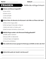 Vorschau - Arbeitsblätter - Bronzezeit: Leseverständnis und Kreuzworträtsel mit Lösungen - Seite 2