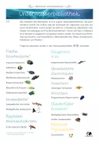 Vorschau - Unterrichtsreihen - Unterwasserbibliothek Muschelstufe 2 (Abenteuer Unterwasserwelt) - Seite 2