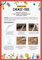 anteprima - Altro tipo di materiale - Costruici un alberello innevato usando la chimica: il chemis-tree - Pagina 1