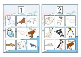 Vorschau - Spiele - Bilderbingo: Polartiere - Seite 3