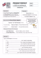 Vorschau - Arbeitsblätter - Present Perfect: Verneinung mit Wortfeld Pets & Animals - Seite 3