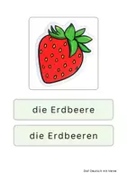 Vorschau - Fördermaterial/Inklusion - Obst und Gemüse - Bild- und Wortkarten DaF/DaZ - Seite 1