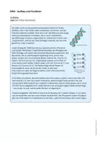 Vorschau - Arbeitsblätter - DNA - Aufbau und Funktion - Basenstruktur verstehen - Deckblatt