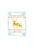 anteprima - Didattica a stazioni - Tra natura e matematica; 11 carte per conoscere le renne con due opzioni per la didattica a stazioni(matematica/italiano) cl: III/V - Pagina di copertina