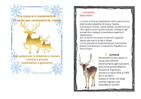 anteprima - Didattica a stazioni - Tra natura e matematica; 11 carte per conoscere le renne con due opzioni per la didattica a stazioni(matematica/italiano) cl: III/V - Pagina 1