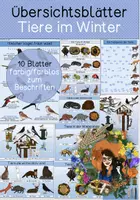 Vorschau - Arbeitsblätter - Übersichtsblätter und Arbeitsblätter - Tiere im Winter - Deckblatt