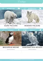 Aperçu - Cartes / Images - cartes nomenclature - Régions polaires par LEDB - Page 3