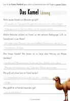 Vorschau - Arbeitsblätter - Das Kamel - Steckbrief inkl. Verständnisfragen - Seite 3