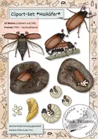 Vorschau - selbst erstellte Cliparts/Grafiken - Clipart-Set: Maikäfer- Entwicklung - Deckblatt