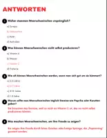 Vorschau - Arbeitsblätter - Meerschweinchen: Leseverständnis und Kreuzworträtsel mit Lösungen - Seite 3