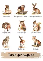 Vorschau - Poster - Bildungsposter Wald Wildtiere, Vorschule, Kindergarten - Seite 2