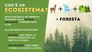 anteprima - Materiale di supporto/inclusione - Geografia - presentazione sugli Ecosistemi - Pagina 1
