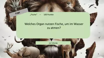 Vorschau - Arbeitsblätter - XXL-Materialpaket für Vertretungsstunden: Über 400 Materialien - Seite 3