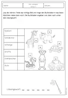 Vorschau - Arbeitsblätter - 2 Mini Lesespuren: Safari - Seite 2