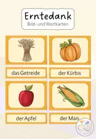 Vorschau - Bildkarten - Bild- und Wortkarten: Erntedank - Deckblatt