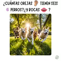 Vista previa - Tarjetas / Manipulativos - PROBLEMAS VISUALES Nivel 1 CONTEO (PARTE 2) - página 3